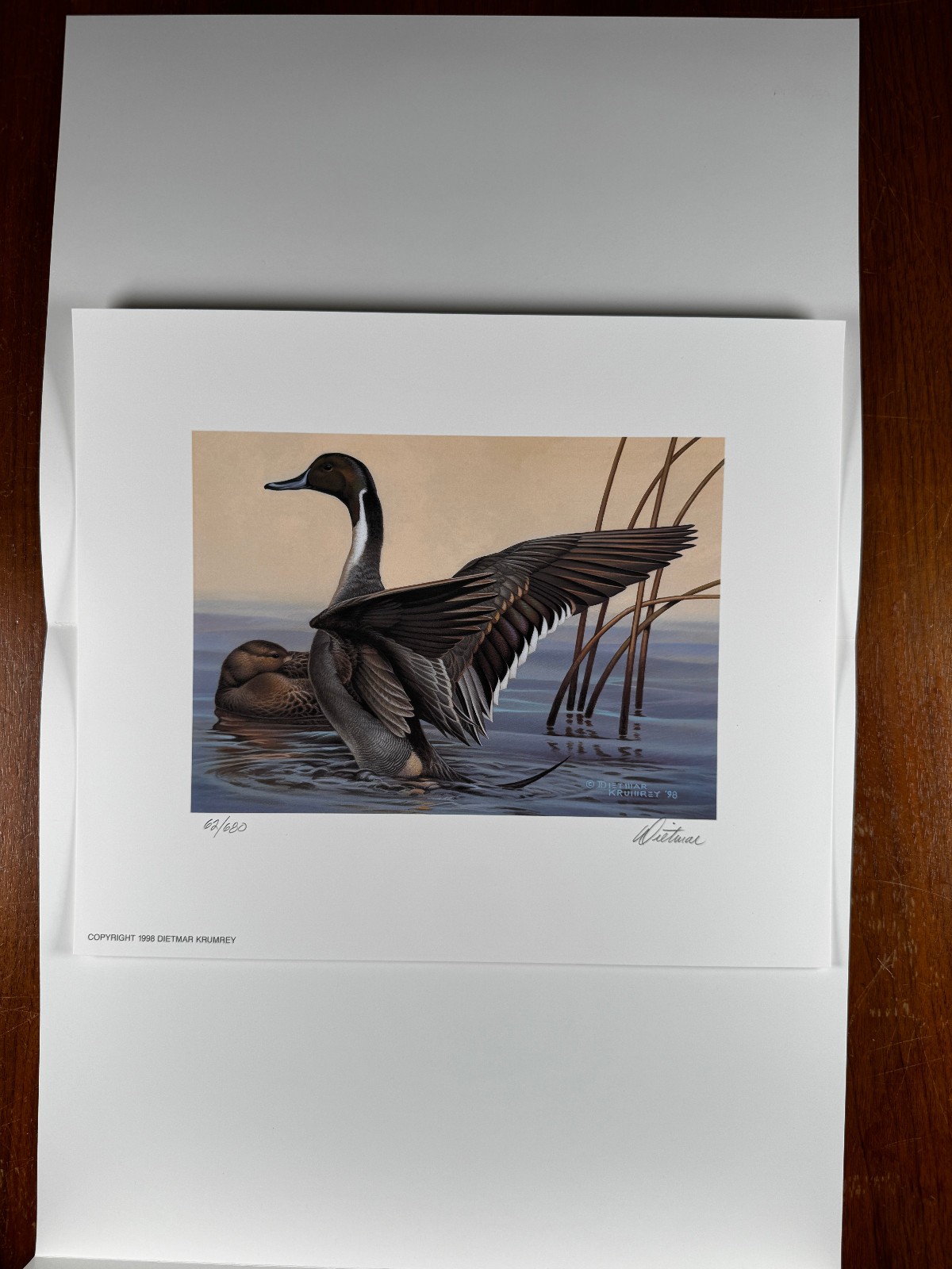 1998 Michigan Duck Stamp Art Print by Dietmar Krumrey #62/680