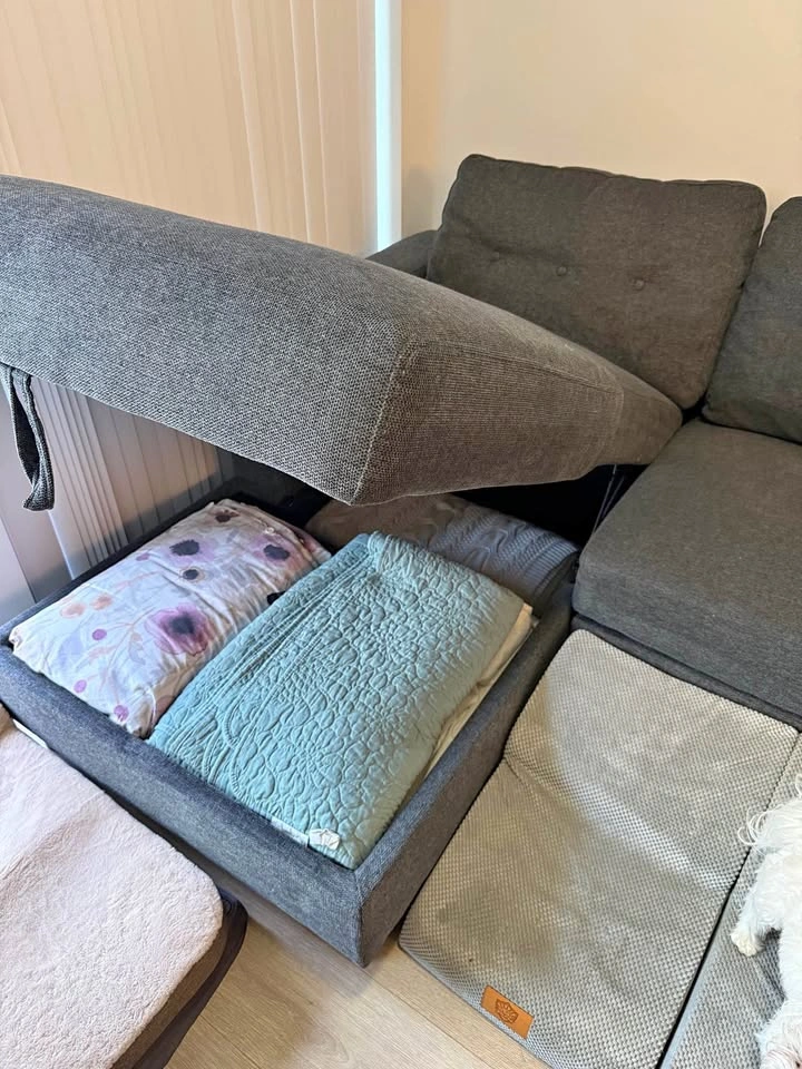 Structube Renee - Grey Sectional Sofa Bed with Storage Chaise