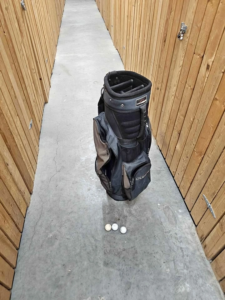 Mens golf bag