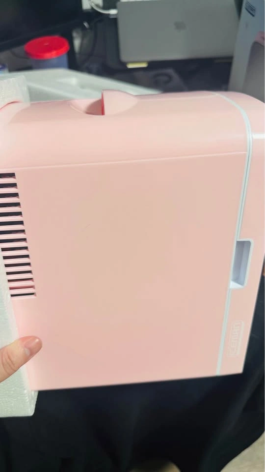 4L Mirror Portable Beauty Fridge - photo 2