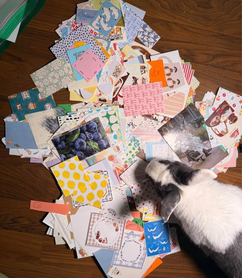 Cute Stationery bag Memo Pads Stickers - photo 4