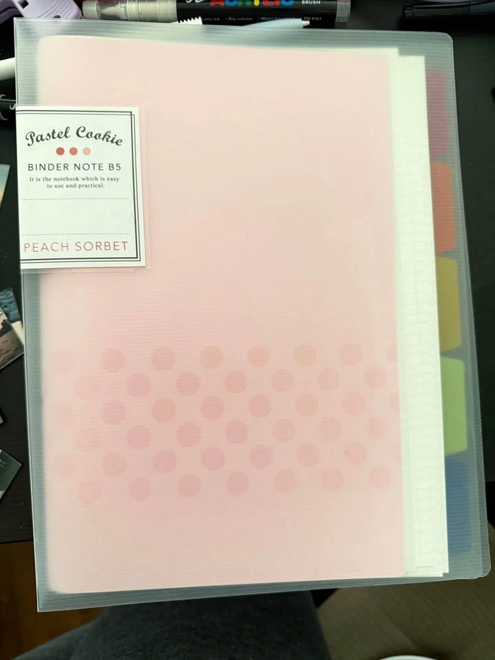 Kokuyo B5 notebook loose leaf binder