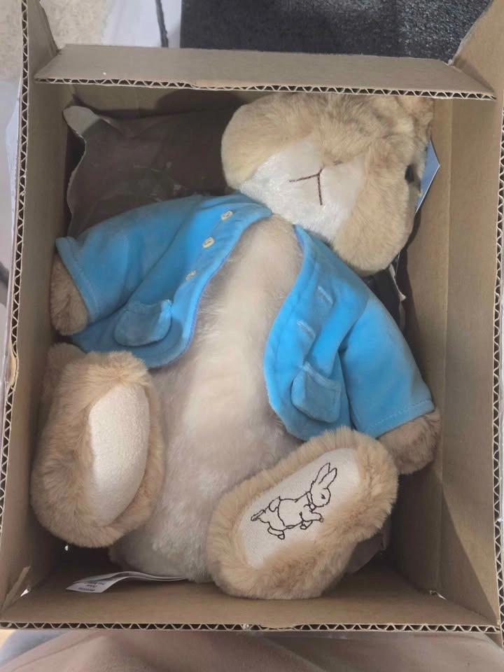 Lot of GUND Peter Rabbit Plushes - photo 4