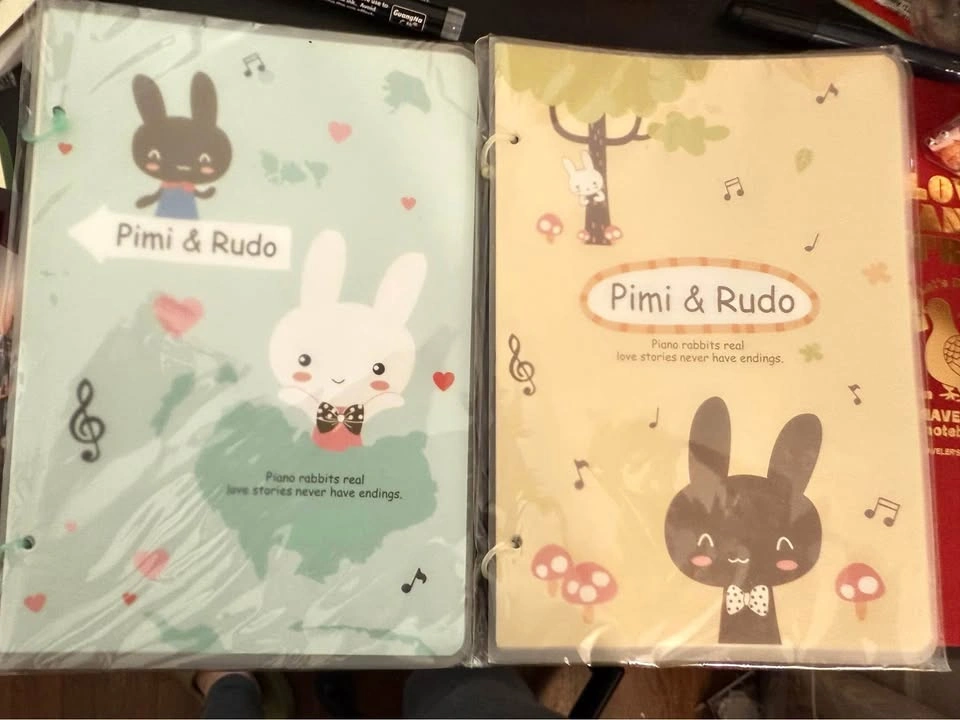 Notebook & loose leaf binder for sale