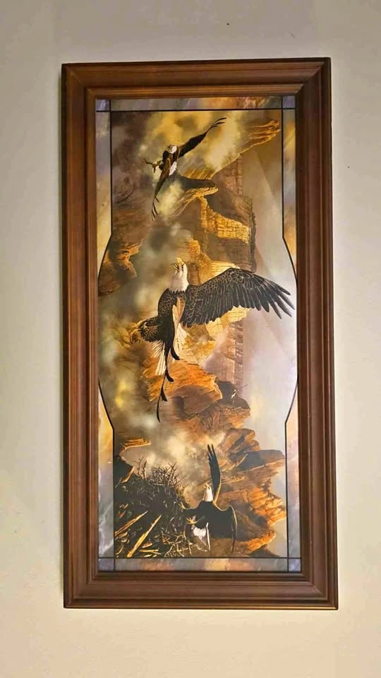 Framed Bald Eagle Canyon Art