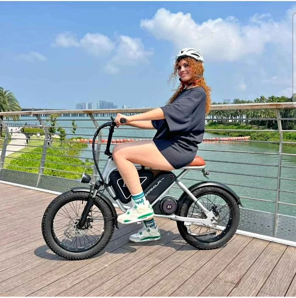 High Range Ebike (1000W, 80km Range, 40km Speed) BRAND NEW
