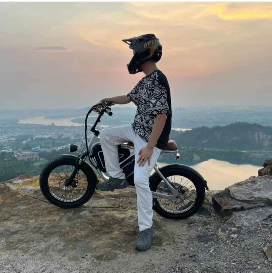High Range Ebike (1000W, 80km Range, 40km Speed) BRAND NEW - photo 5