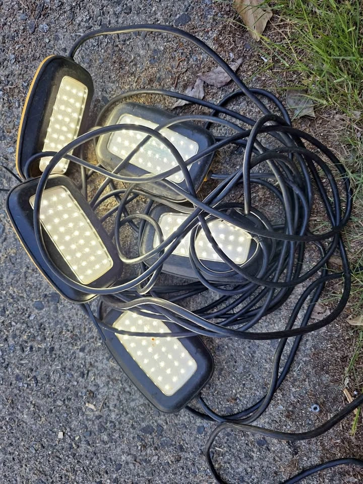 50ft Commercial LED String Lights - 5 Panels Built-in Extension