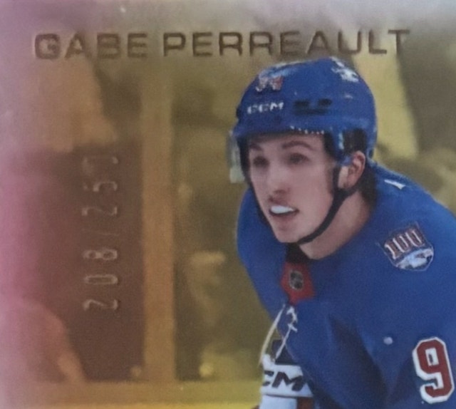 2 Cards - GABE PERREAULT-Pros and Prospects Base & GOLD 208/250