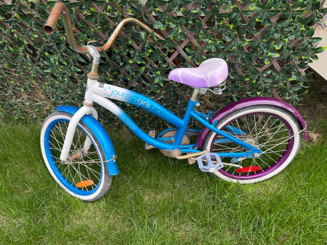 Avigo Journey Girls Kids Cruiser Bike