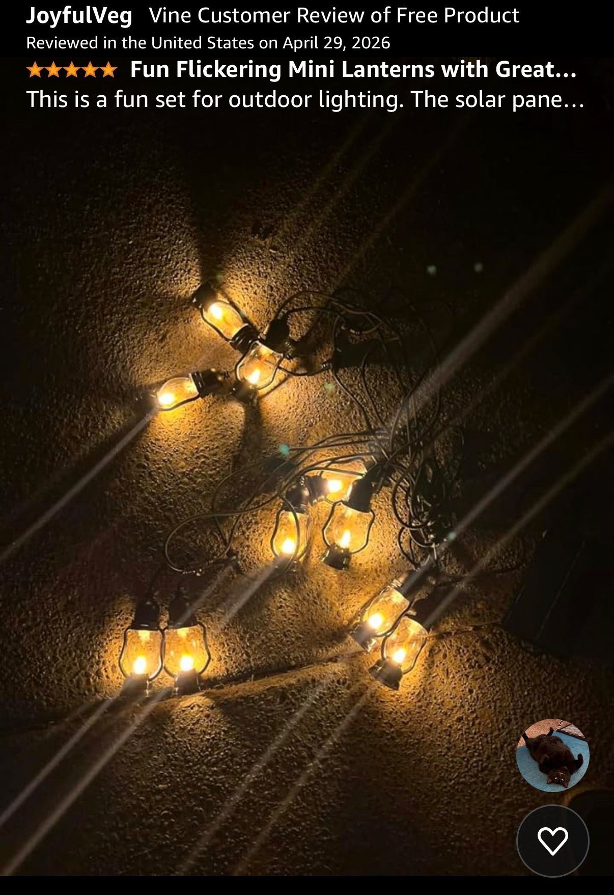 21FT Flame Outdoor String Lights with 10 Flickering Bulbs - photo 2
