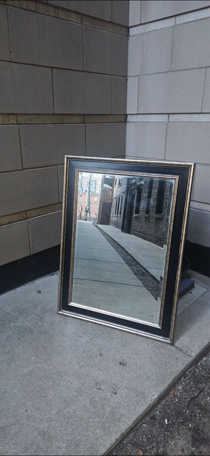 Gold Wall Mirror 31" x 43" Astor Champagne Rectangle Mirror