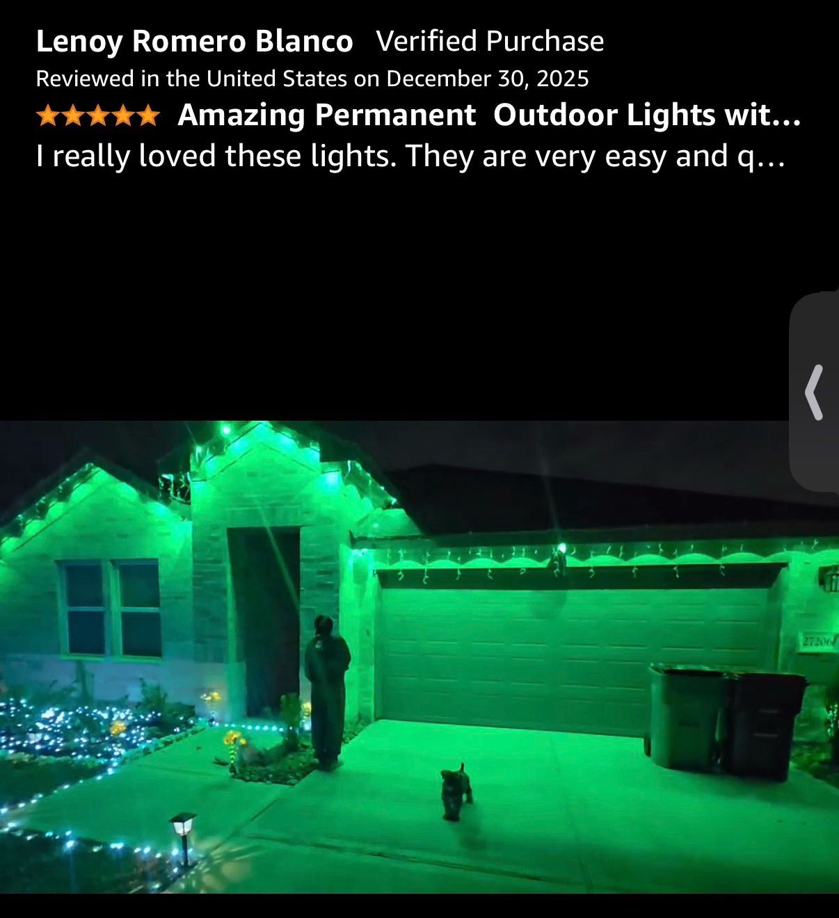 104FT Permanent Outdoor Lights RGB Smart IP67 Waterproof - photo 4