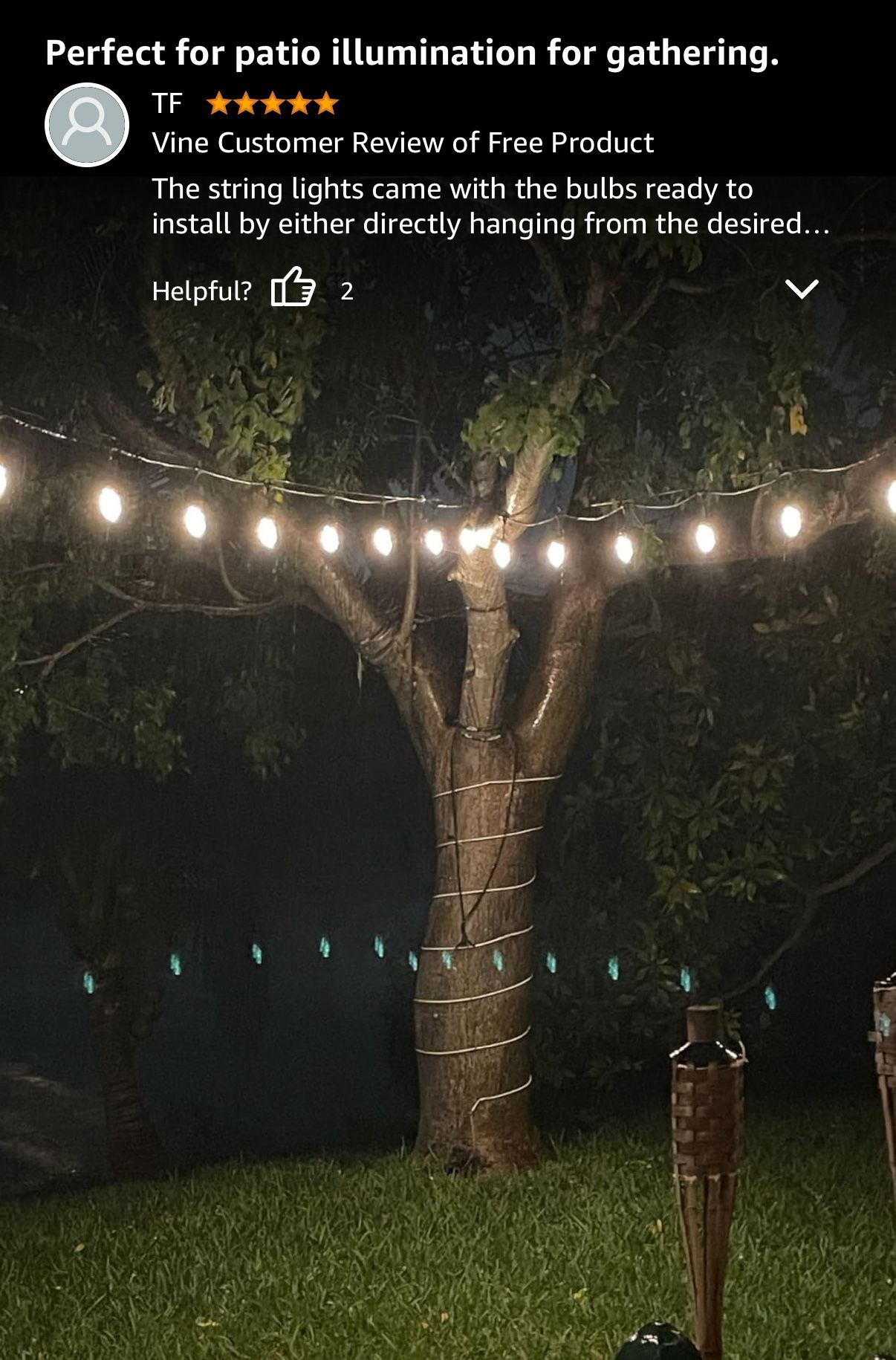 50 Feet Warm White Christmas String Lights
