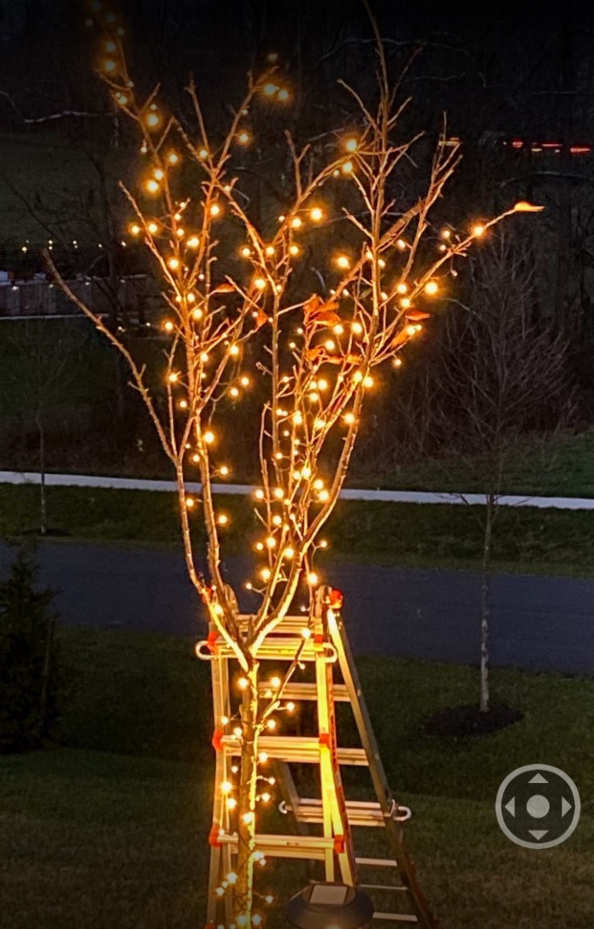 300 LED Christmas Lights Outdoor, 115FT Warm White - photo 2