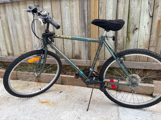 Free Spirit Elkhorn 26” Adult Bike