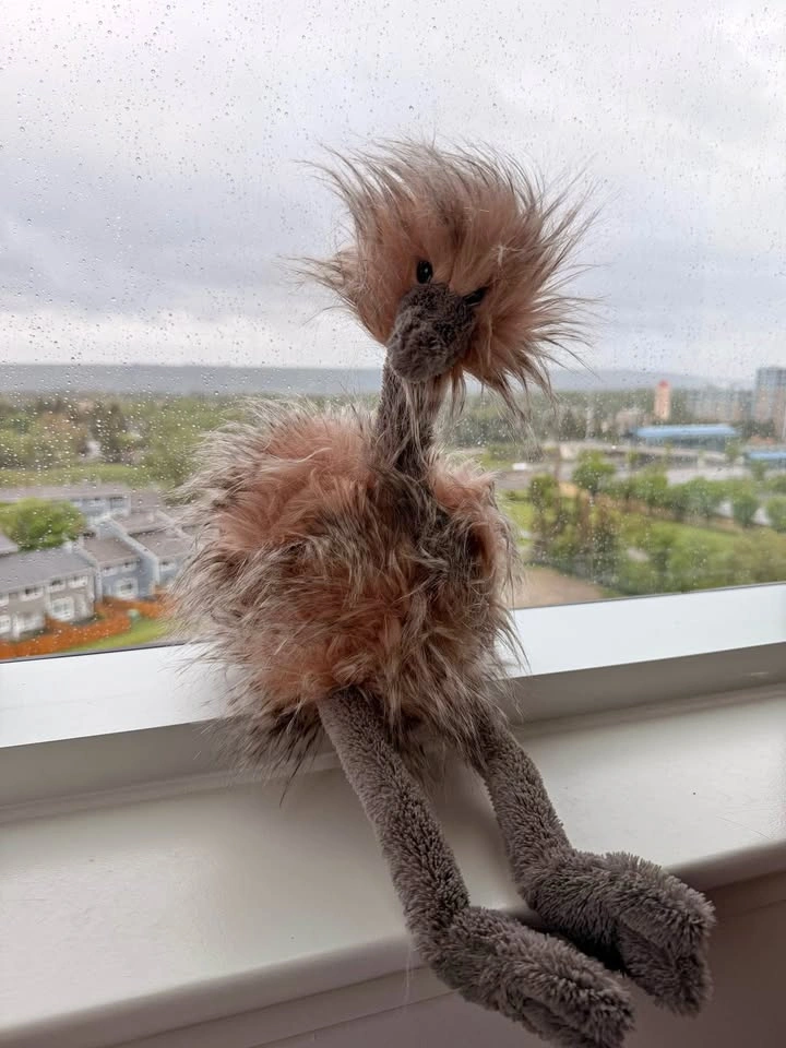JELLYCAT- BIRD