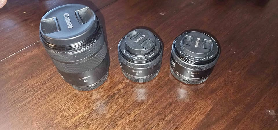 Canon STM RF Lenses