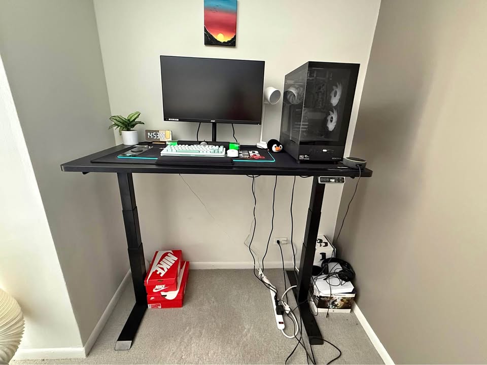 Flexispot Automatic Standing Desk