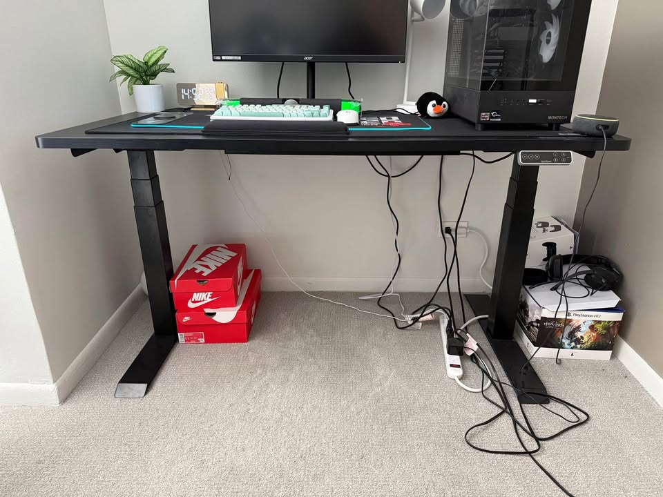 Flexispot Automatic Standing Desk - photo 4