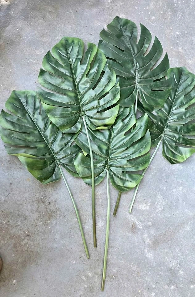 5 decorative Palm leaves