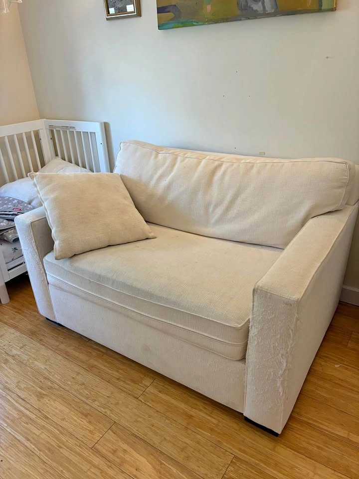 Free pull out sleeper couch!