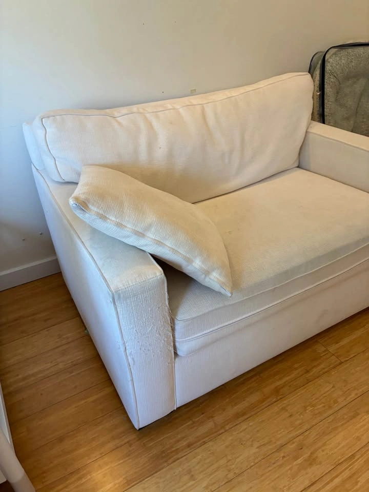 Free pull out sleeper couch! - photo 2