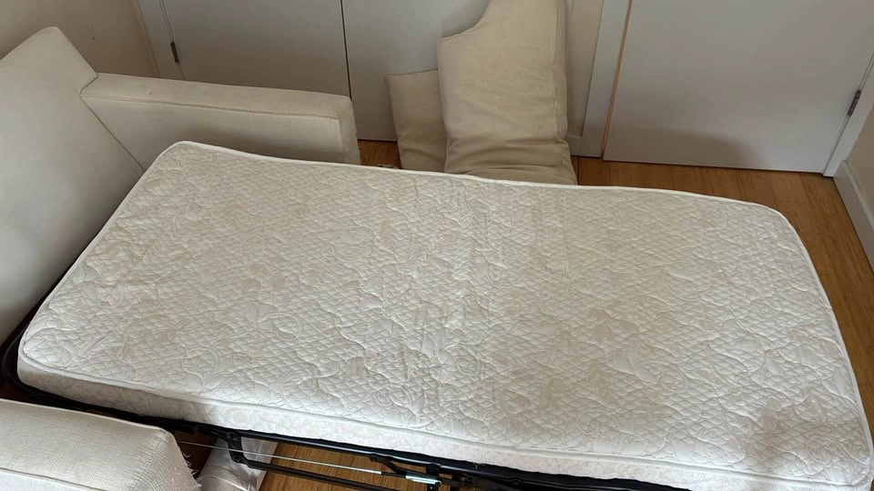 Free pull out sleeper couch! - photo 3