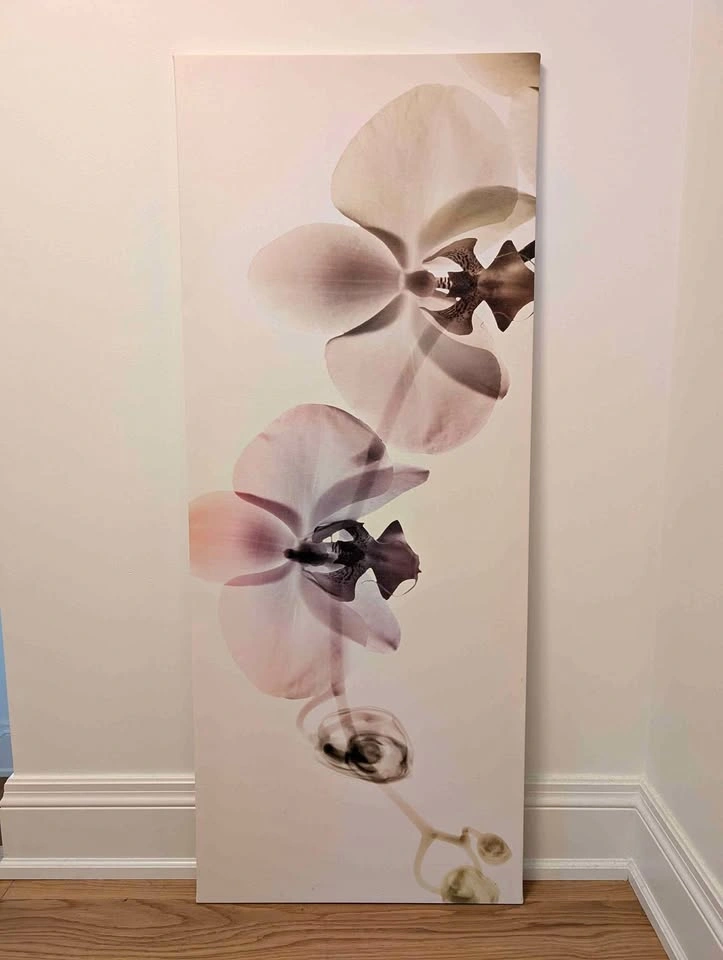IKEA orchid canvas print