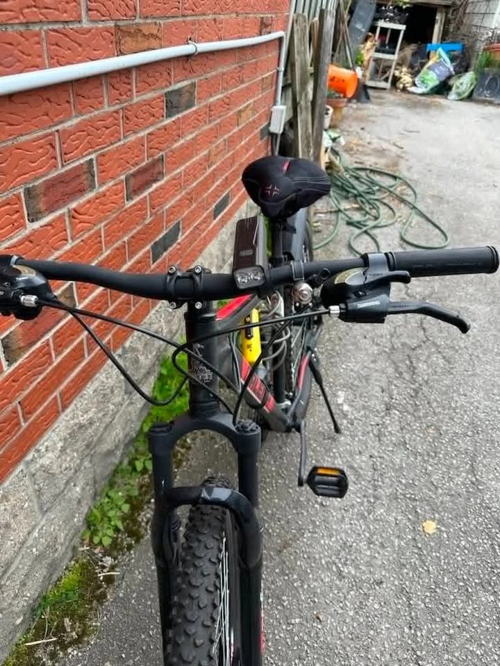 Raleigh Bicycle - photo 2