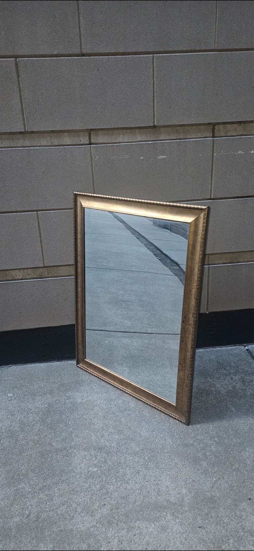 Gold Wall Mirror 31" x 43" Astor Champagne Rectangle - photo 4