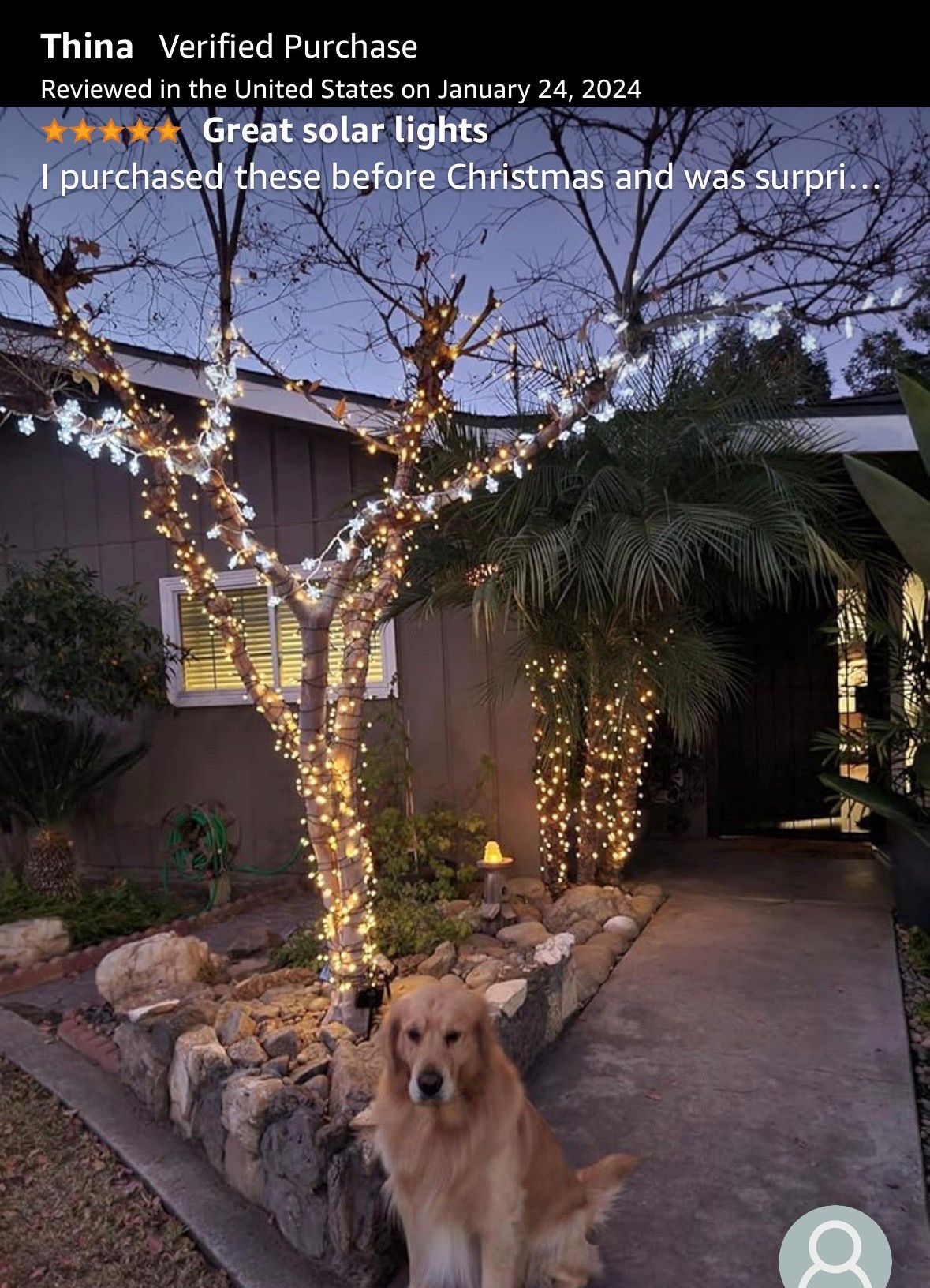 40 FT 100 LED Solar Powered Outdoor String Lights - photo 5