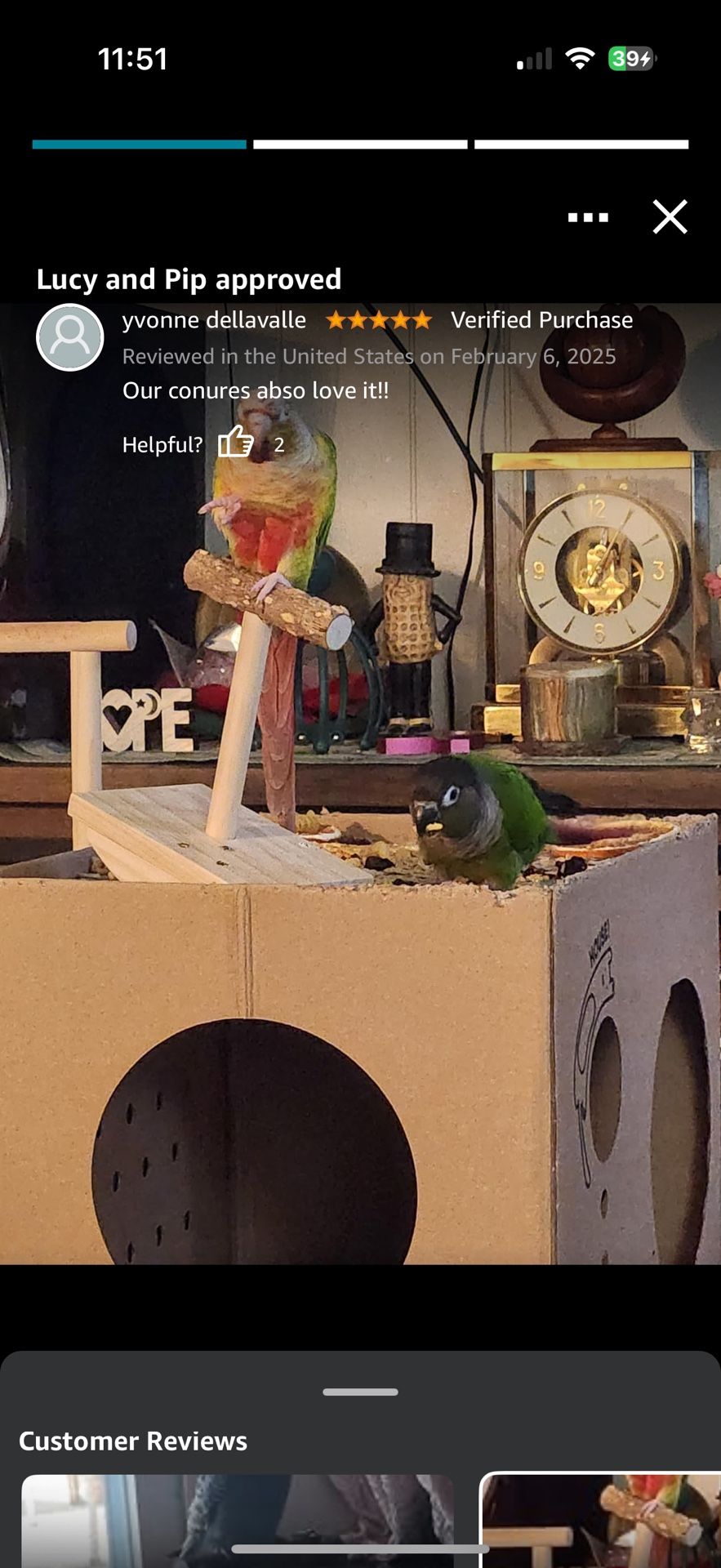 Bird Perch Rocking Toy Natural Wood Parrot Tumbler Toy