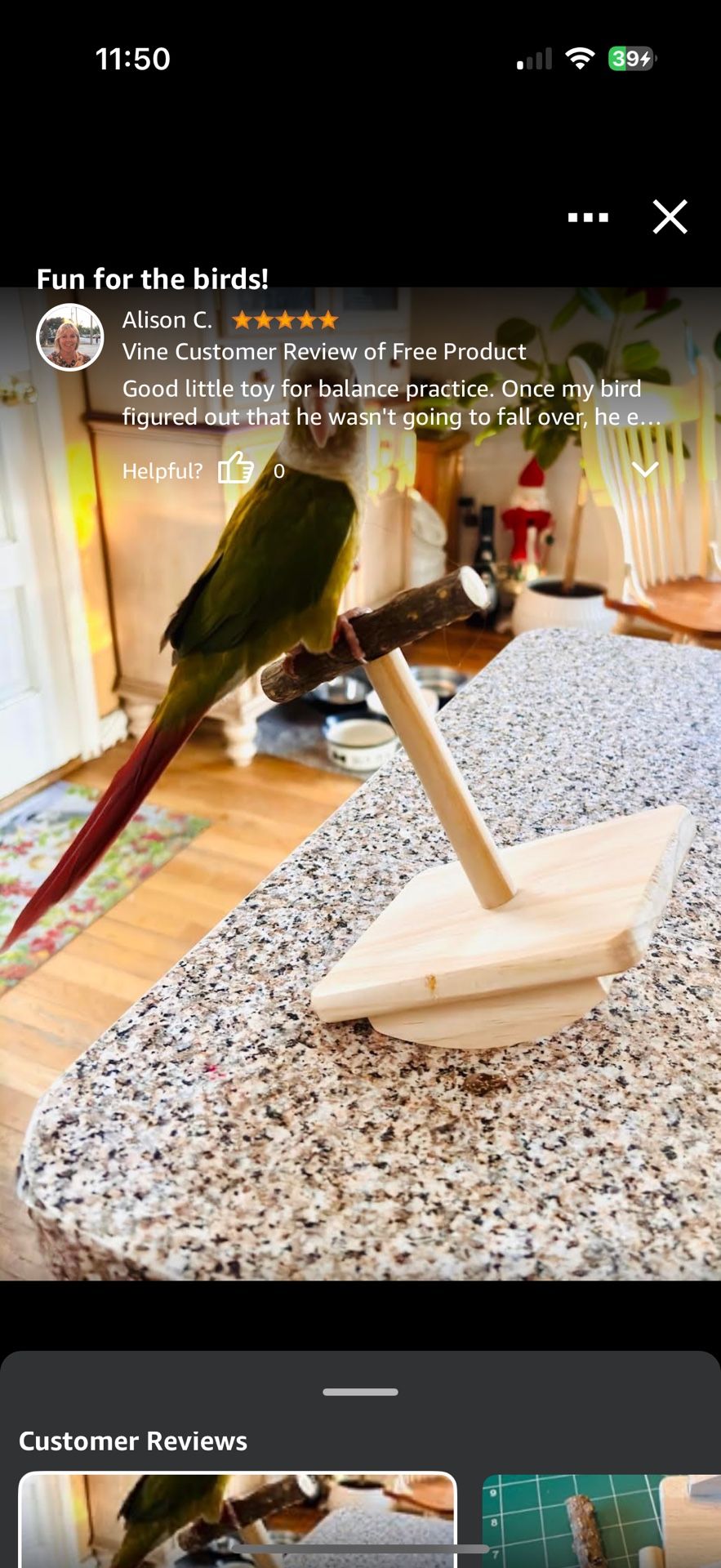 Bird Perch Rocking Toy Natural Wood Parrot Tumbler Toy - photo 2