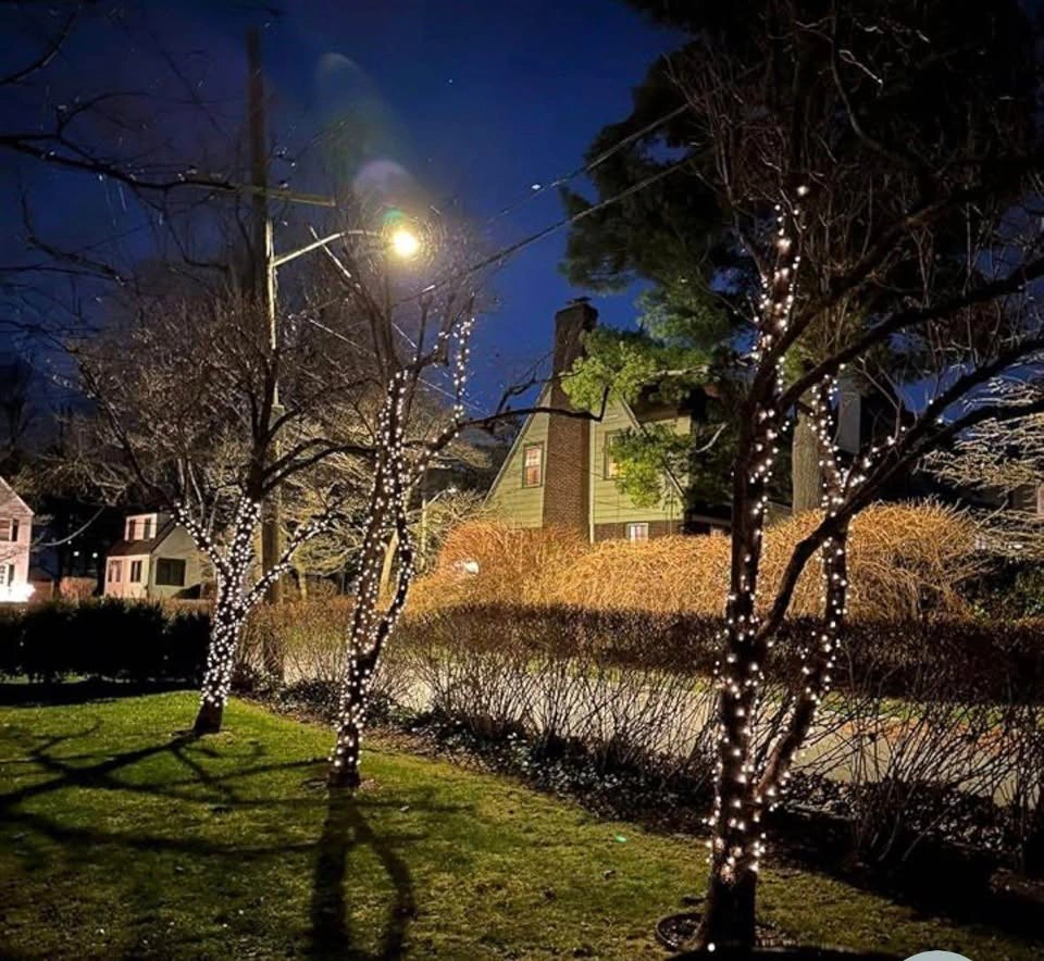 Solar String Lights Outdoor Waterproof - 40 FT 100 LED - photo 3