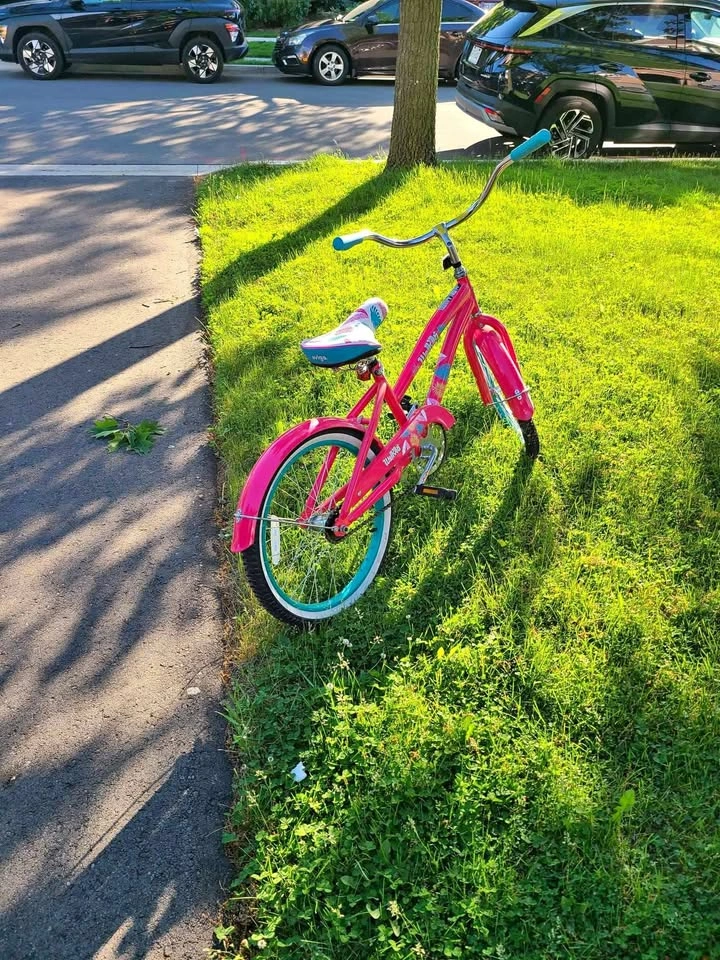 Brand Newv Avigo Waikiki 20-inch Cruiser Bike