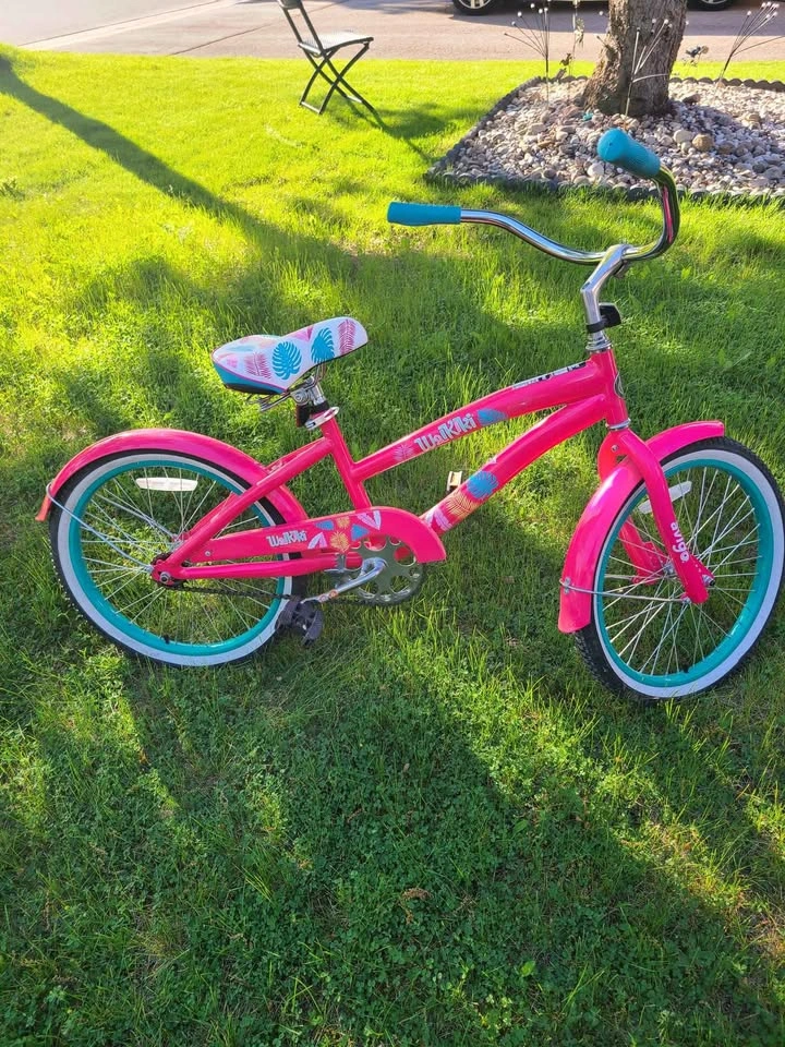 Brand Newv Avigo Waikiki 20-inch Cruiser Bike - photo 3