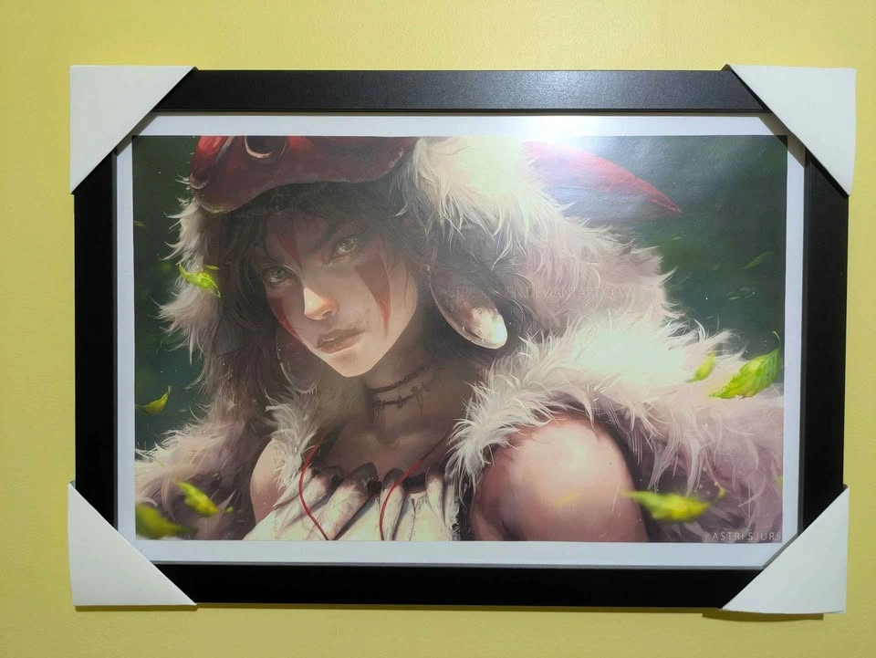 Custom Printed Frames - photo 4