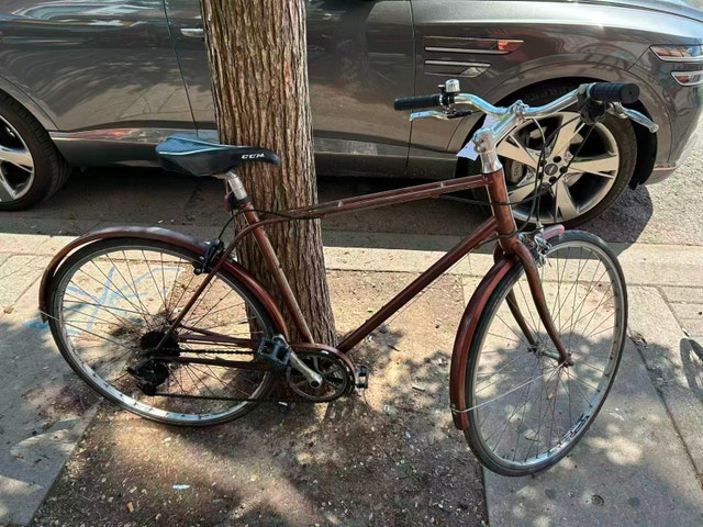 Giant cruiser 21" 700c 8s