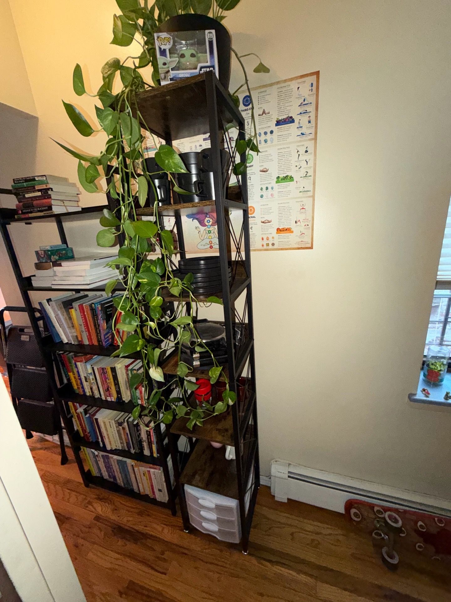 Tall skinny shelf unit