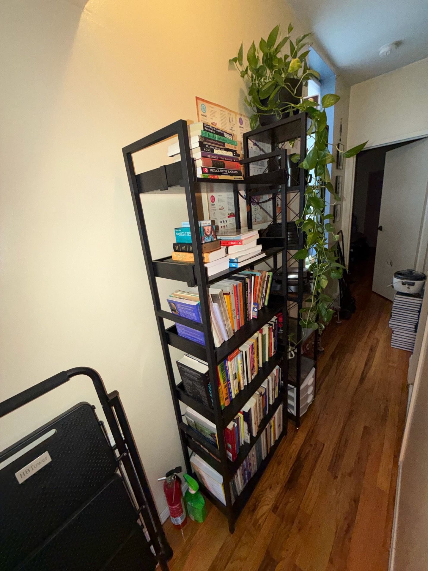 Bookshelf