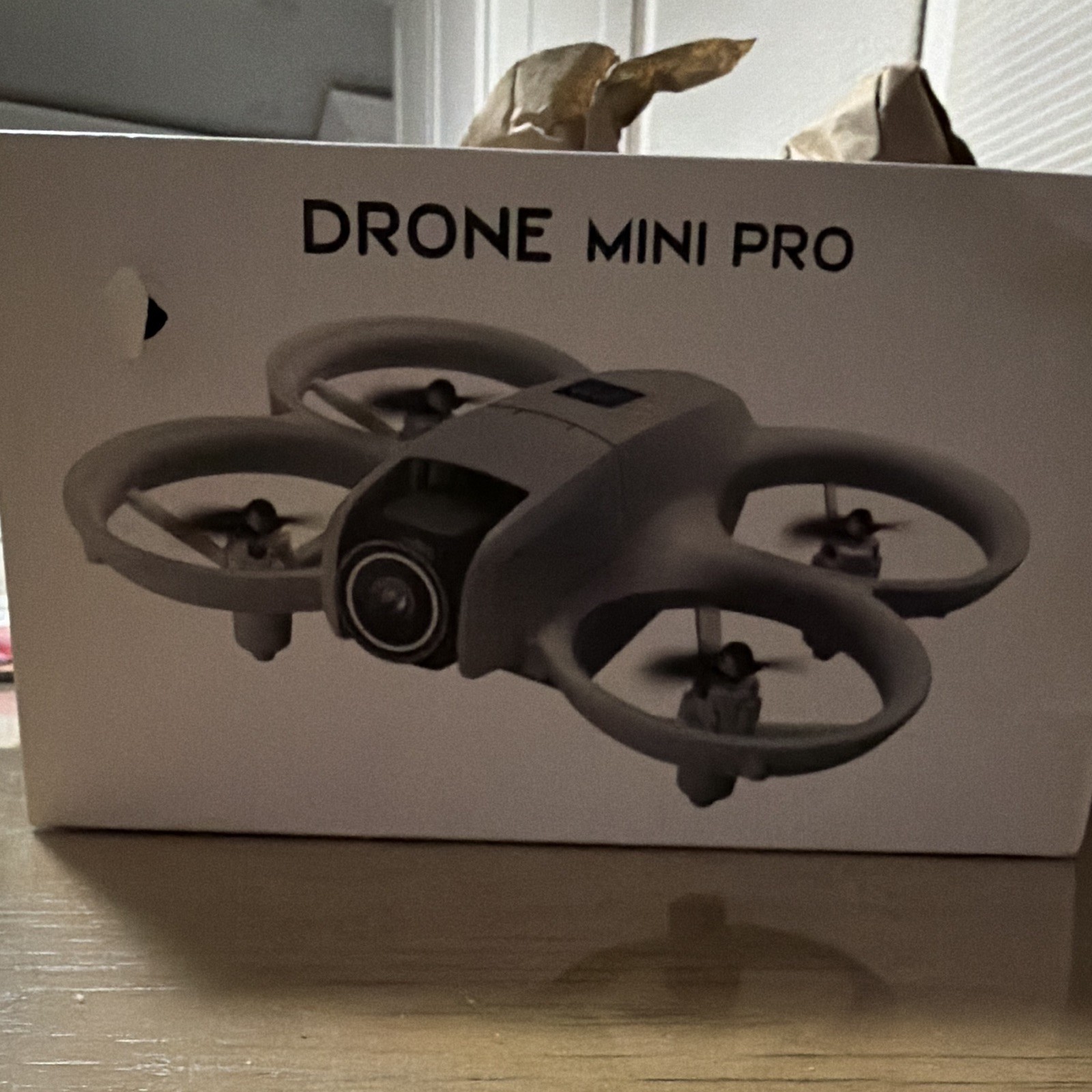 Drone Mini Pro 2.4G RC Quadcopter With Camera