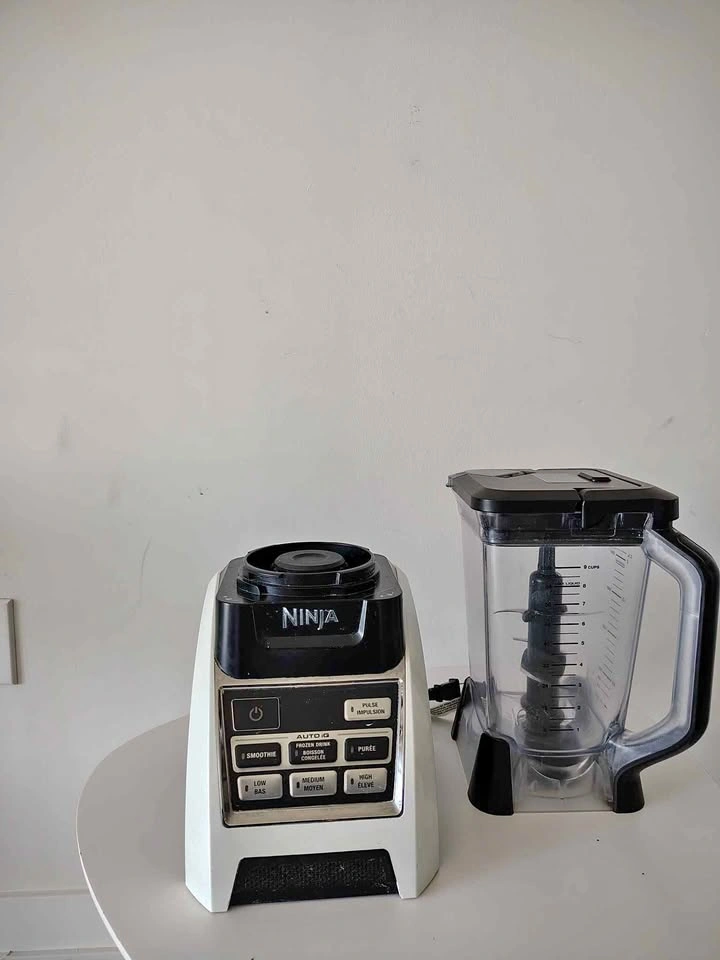 Ninja Professional Blender with Auto-iQ