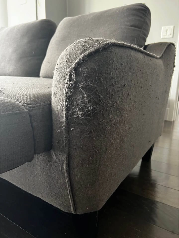 Grey Couch - photo 4