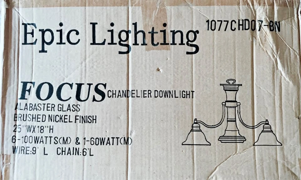 Epic Lighting Focus Chandelier Downlight