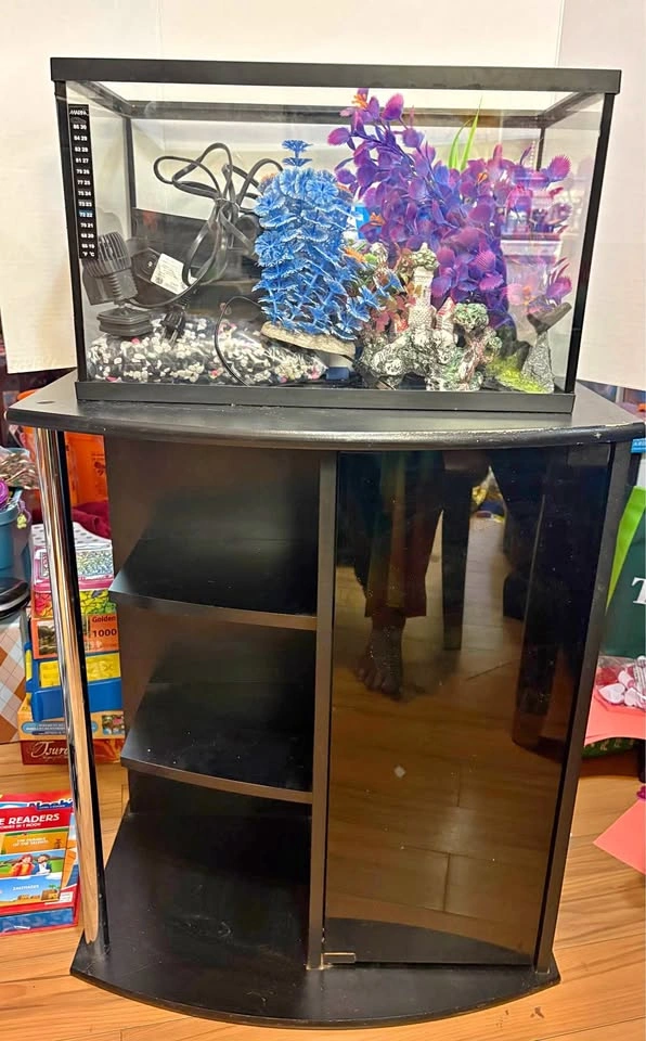 10 gallon Fish Tank with Stand and Accessories