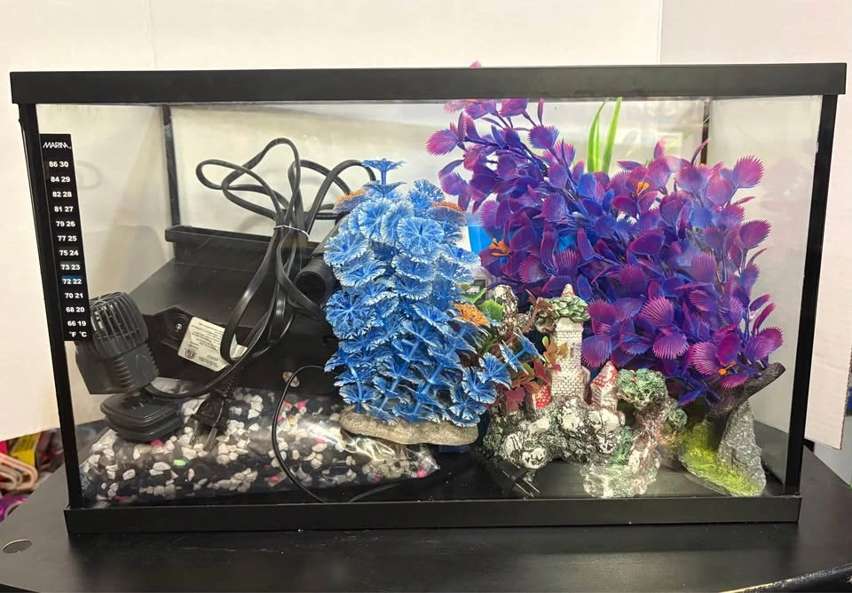 10 gallon Fish Tank with Stand and Accessories - photo 2