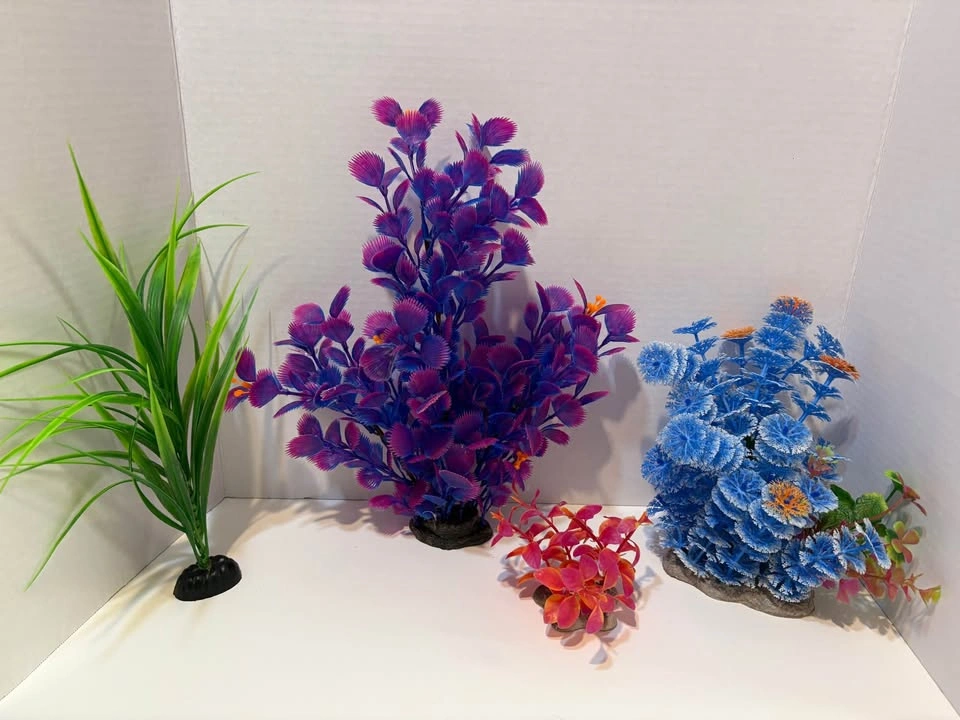 10 gallon Fish Tank with Stand and Accessories - photo 4