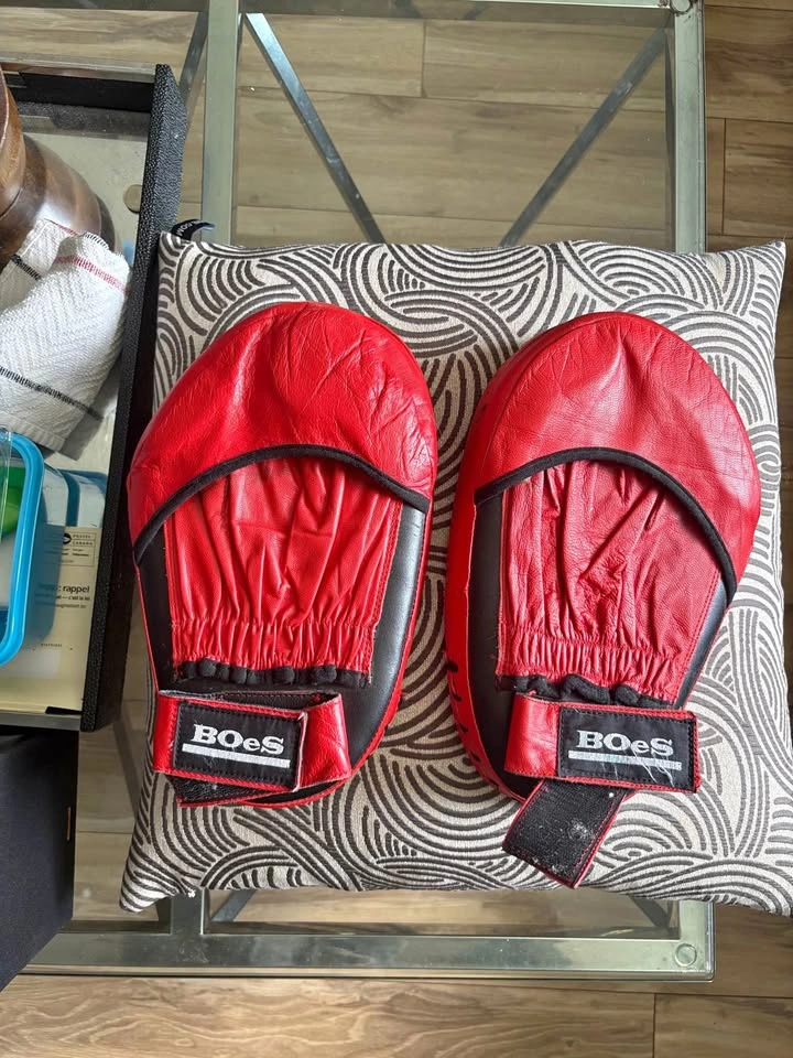 Boxing Focus Mitts / Punch Pads - $20
