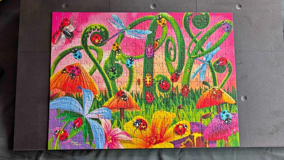 Ravensburger 300 Piece Puzzle